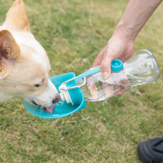LumoLeaf Dog Water Bottle for Walking, Portable Pet Water Dispenser with Foldable Leaf Bowl – Lightweight Travel Bottle for Small & Medium Dogs, 20 fl oz