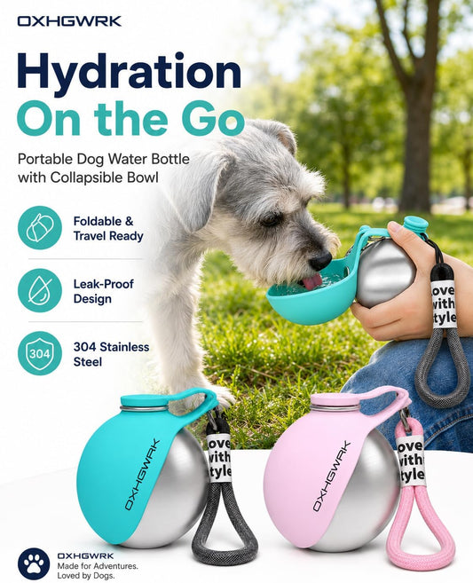 2 Pack Portable Dog Water Bottle with Bowl, 2 in 1 10oz Stainless Steel Travel Water Bottle for Dogs, Foldable Silicone Bowl, Leak-Proof Water Dispenser for Walking Hiking