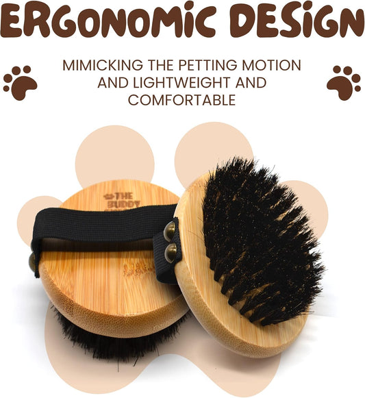 The Buddy System - Pet Close Brush, Oval Palm Brush with Boar Bristles