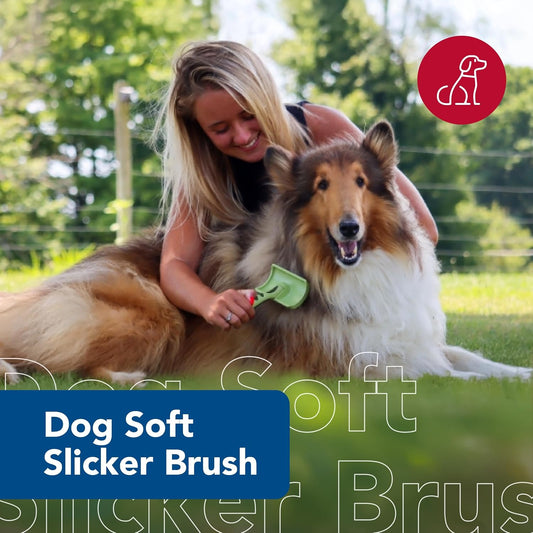 Coastal Pet Safari Dog Soft Slicker Brush - Dog Grooming Brush for Shedding - for Dogs with Short, Medium and Long Hair - Small - 6.5" x 2.5"