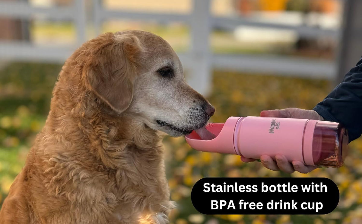 Stainless Steel Dog Travel Water Bottle, Vacuum Insulated Portable Dog Water Dispenser, Drink Cup and Snack Container On The Go, Outdoor Walking, Hiking, Travel (Red, 22oz)