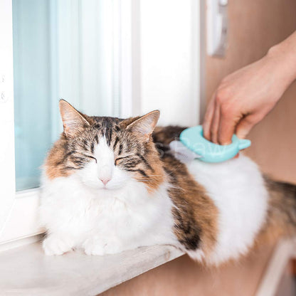 Leo's Paw The Original Pet Hair Removal Massaging Shell Comb
