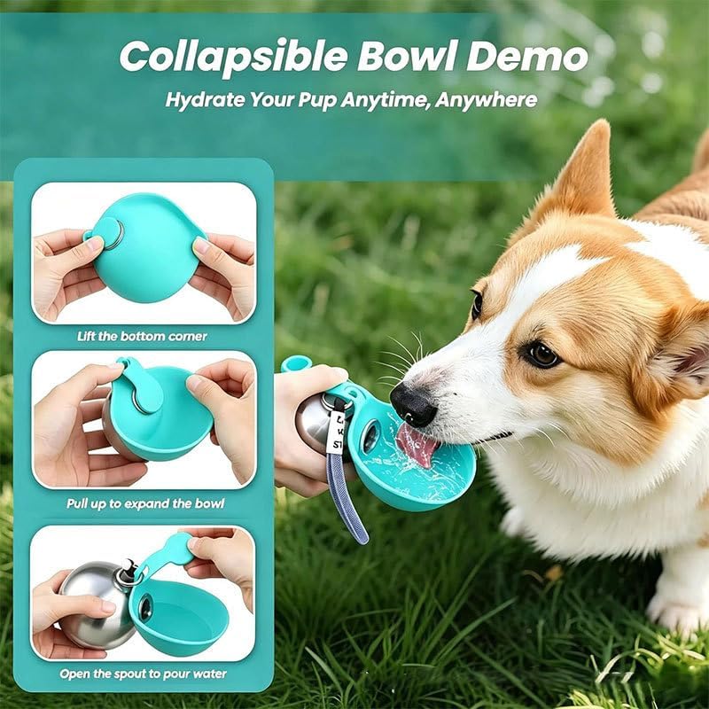 2 in 1 Portable Tumbler with Foldable Silicone Bowl for Pets, Portable Dog Water Ball,10Oz Stainless Steel Dog Water Bottle, Hydration Bottle for Walking,Suitable For Small Pets, 1 Extra Silicone Bowl