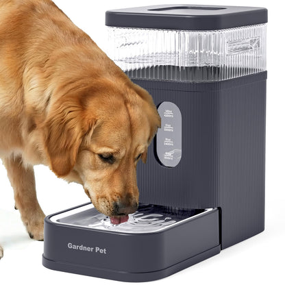 2.2 Gallon Automatic Dog Water Dispenser with Stainless Steel Bowl