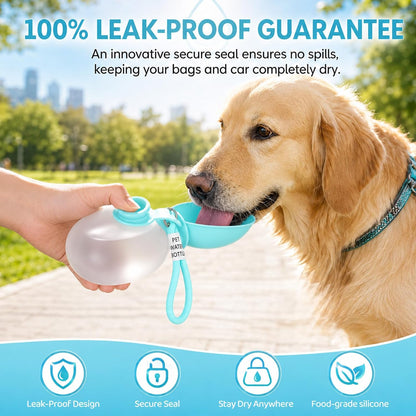 2 in 1 Portable Dog Water Bottle Tumbler, 10oz Stainless Steel (Blue)