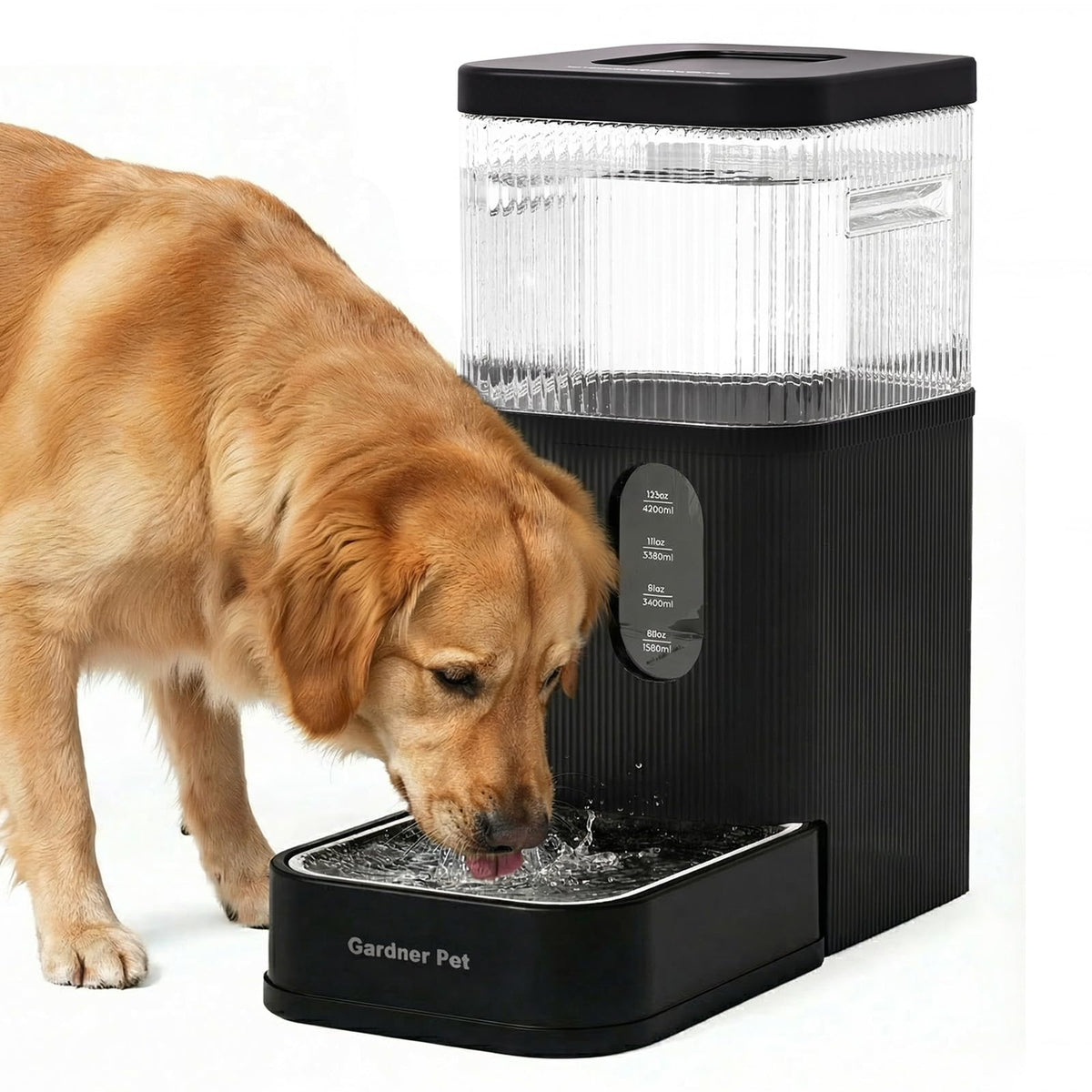 2.2 Gallon Automatic Dog Water Dispenser with Stainless Steel Bowl