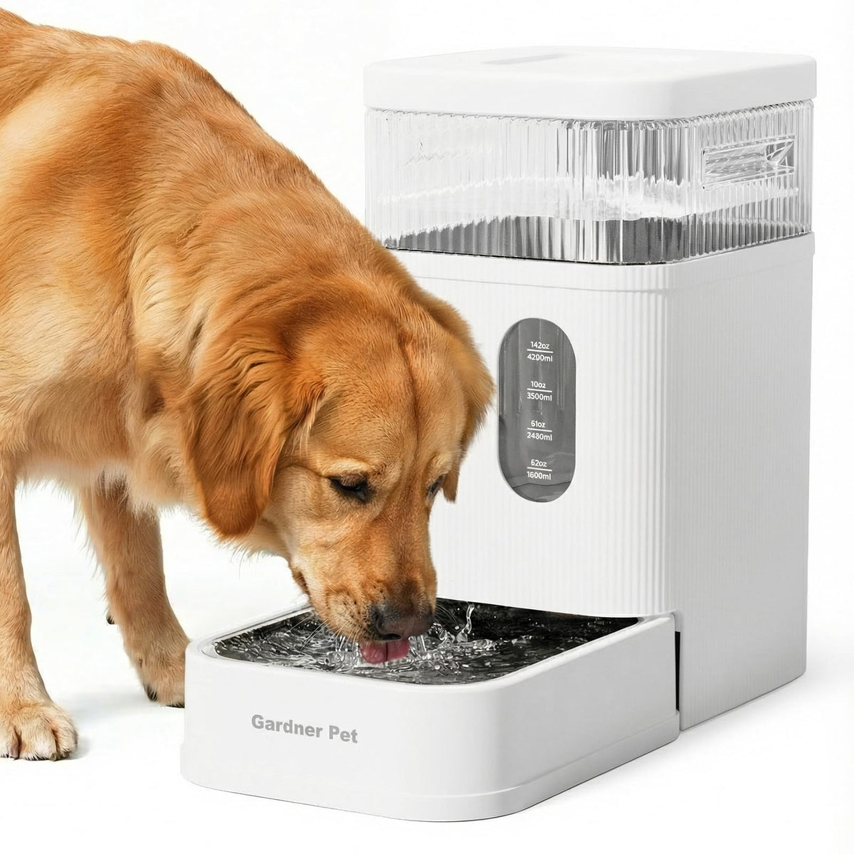 2.2 Gallon Automatic Dog Water Dispenser with Stainless Steel Bowl