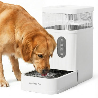 2.2 Gallon Automatic Dog Water Dispenser with Stainless Steel Bowl