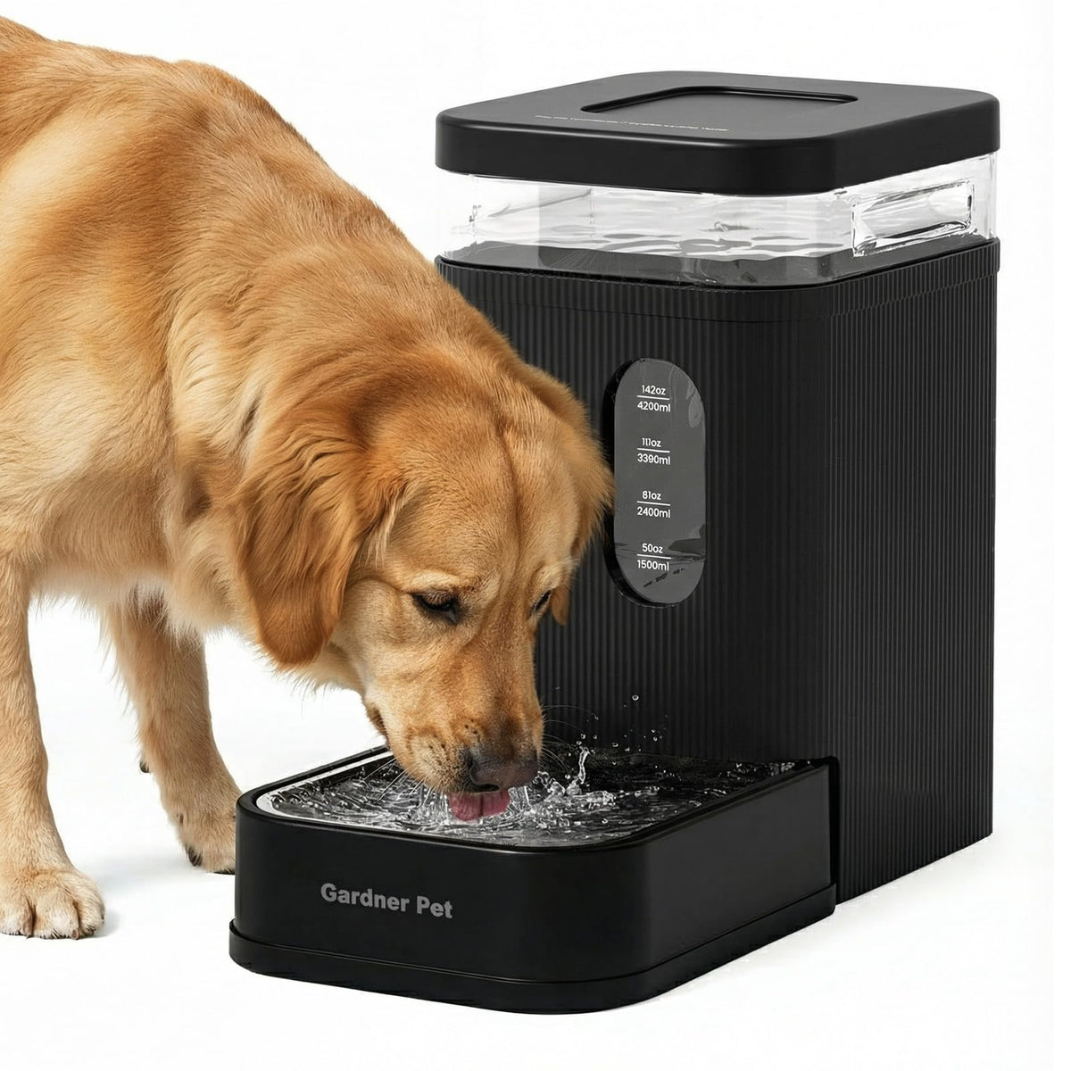2.2 Gallon Automatic Dog Water Dispenser with Stainless Steel Bowl