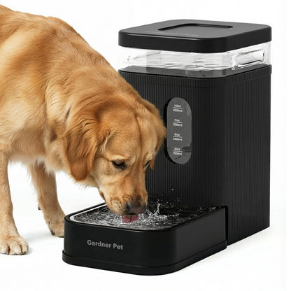 2.2 Gallon Automatic Dog Water Dispenser with Stainless Steel Bowl