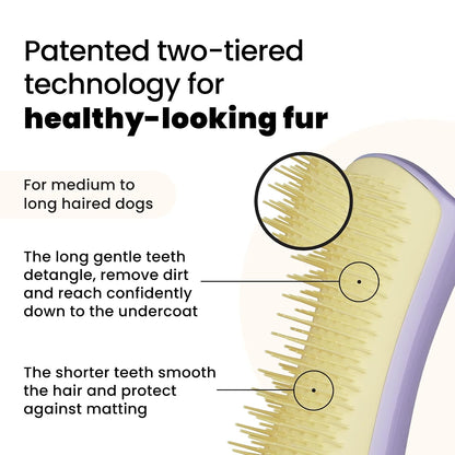 Pet Teezer Detangling Dog Brush for Light Shedding, Small, Lilac & Yellow