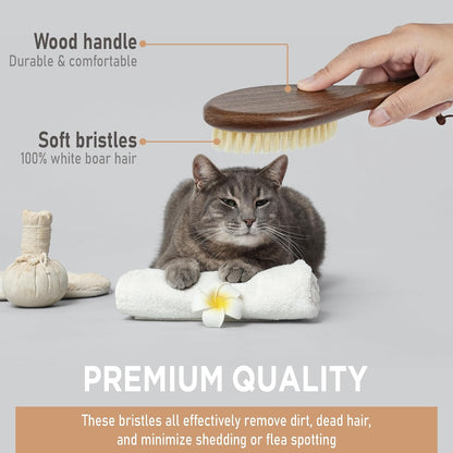 TAKAVU Soft Cat Brush, Natural Boar Bristle for Indoor Kittens