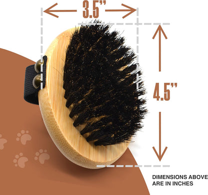 The Buddy System - Pet Close Brush, Oval Palm Brush with Boar Bristles