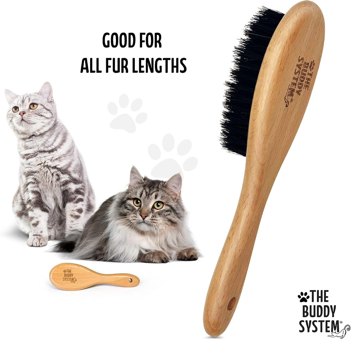 The Buddy System - Soft Cat Brush with Boar Bristles, 1 Pack