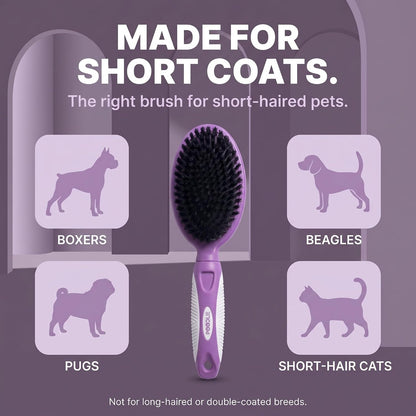 Soft Bristle Dog Brush For Short Haired Cats Or Dogs - Firm Bristles To Remove Dust, Dirt, And Loose Fur - Hook And Rubber Handle