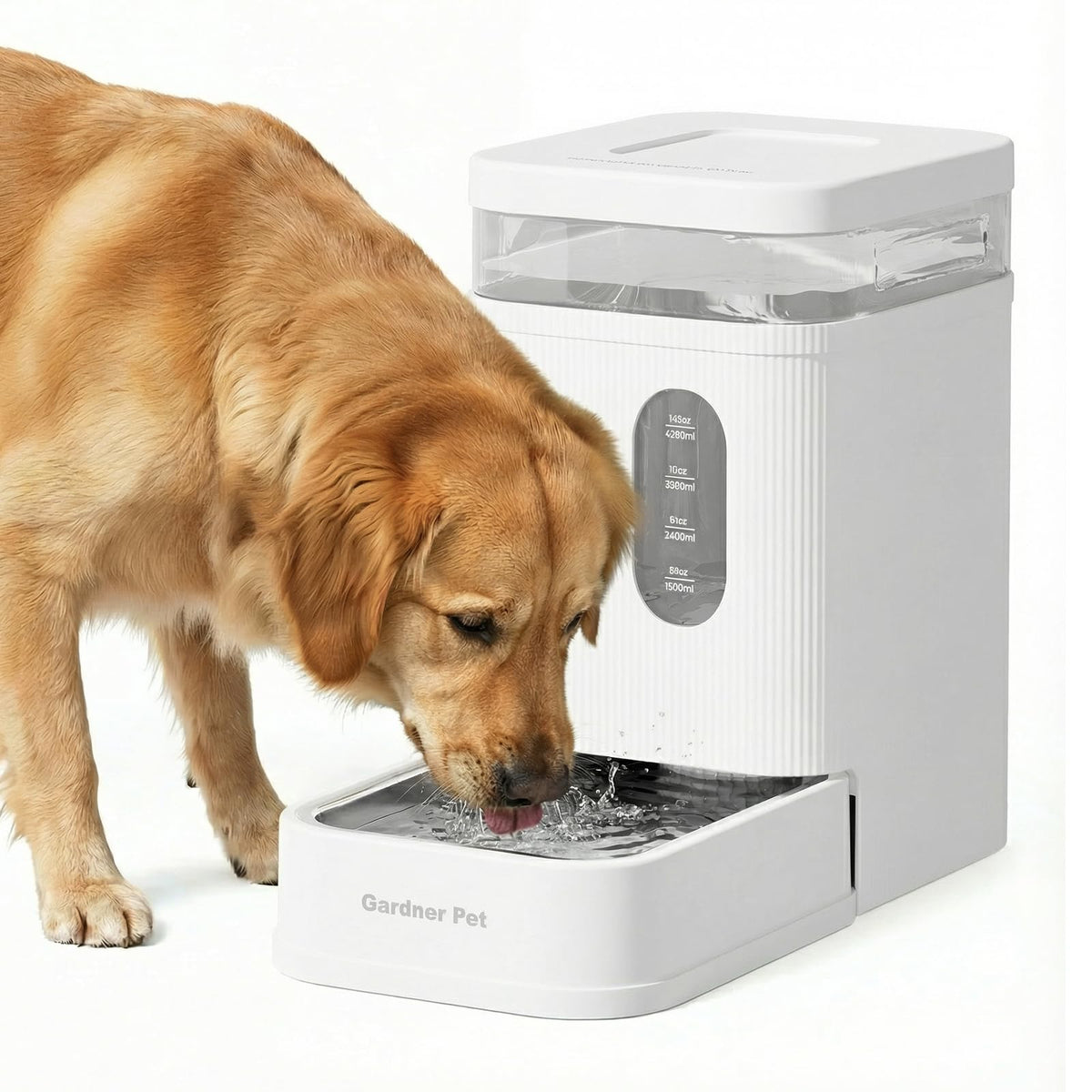 2.2 Gallon Automatic Dog Water Dispenser with Stainless Steel Bowl