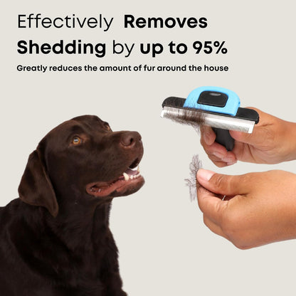 Short Hair Deshedding Brush for Dogs & Cats - Grooming Comb