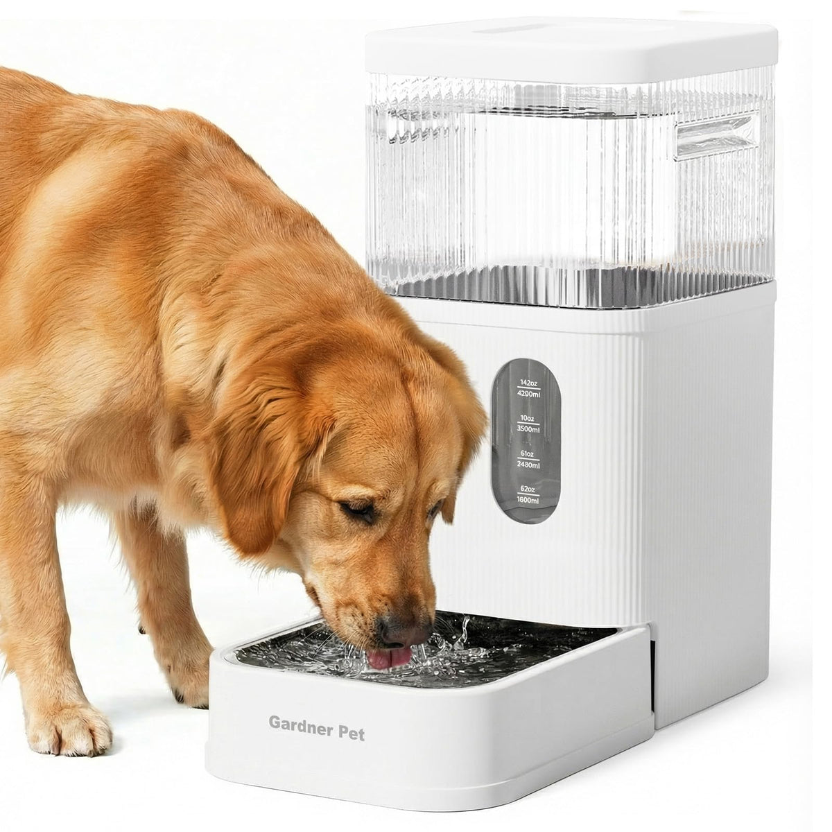 2.2 Gallon Automatic Dog Water Dispenser with Stainless Steel Bowl