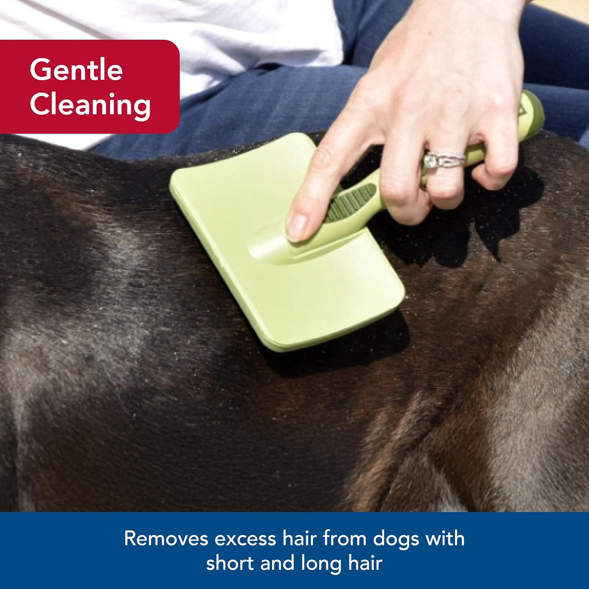 Coastal Pet Safari Dog Soft Slicker Brush - Dog Grooming Brush for Shedding - for Dogs with Short, Medium and Long Hair - Small - 6.5" x 2.5"