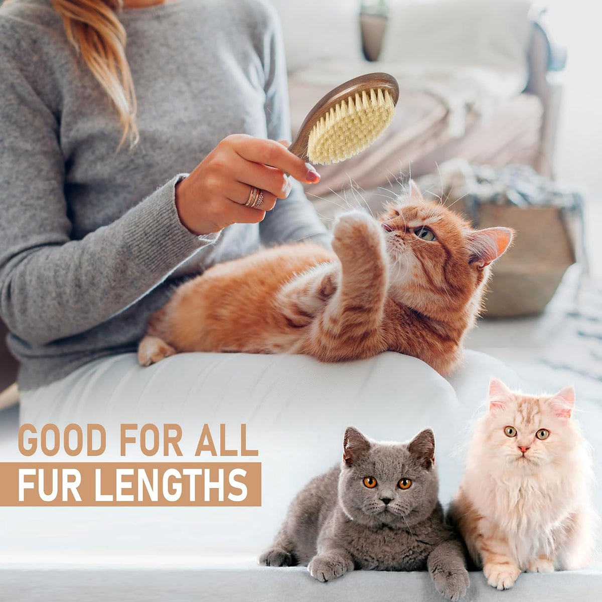 TAKAVU Soft Cat Brush, Natural Boar Bristle for Indoor Kittens