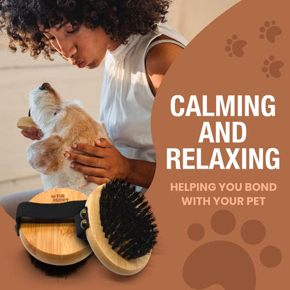 The Buddy System - Pet Close Brush, Oval Palm Brush with Boar Bristles