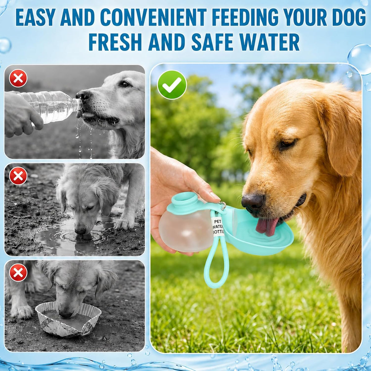 2 in 1 Portable Dog Water Bottle Tumbler, 10oz Stainless Steel (Blue)