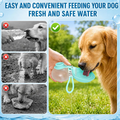 2 in 1 Portable Dog Water Bottle Tumbler, 10oz Stainless Steel (Blue)