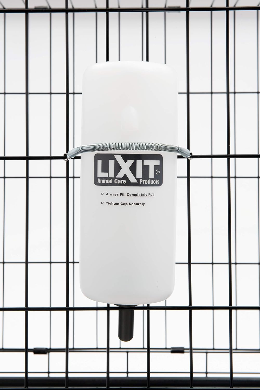 Lixit® Wide Mouth Water Bottles for Large Dogs (White, 32 Ounce)