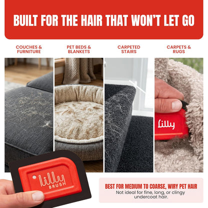 Lilly Brush Mini Pet Hair Detailer | Reusable Fur Remover for Car Interior, Carpet, Couch & Furniture
