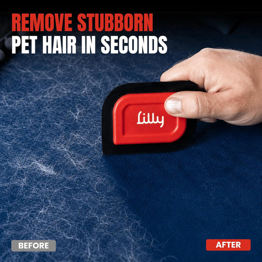 Lilly Brush Mini Pet Hair Detailer | Reusable Fur Remover for Car Interior, Carpet, Couch & Furniture