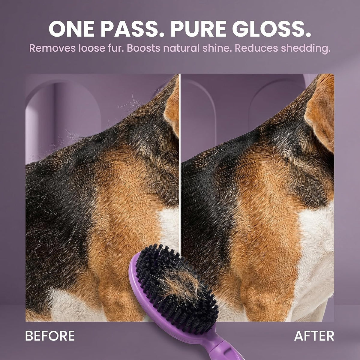 Soft Bristle Dog Brush For Short Haired Cats Or Dogs - Firm Bristles To Remove Dust, Dirt, And Loose Fur - Hook And Rubber Handle