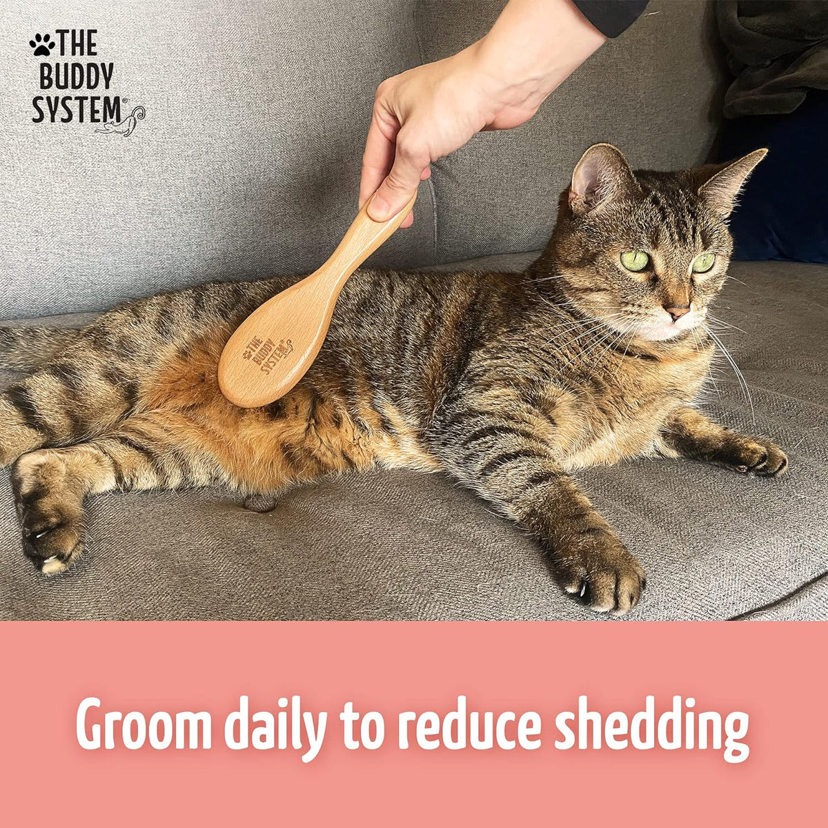 The Buddy System - Soft Cat Brush with Boar Bristles, 1 Pack