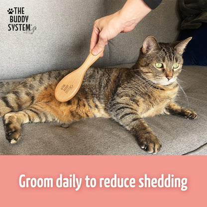 The Buddy System - Soft Cat Brush with Boar Bristles, 1 Pack